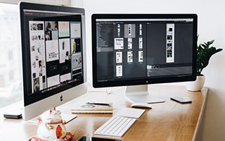 开云官方-布莱顿锋线活跃，海鸥军团力争更好排名，布莱顿为什么叫海鸥