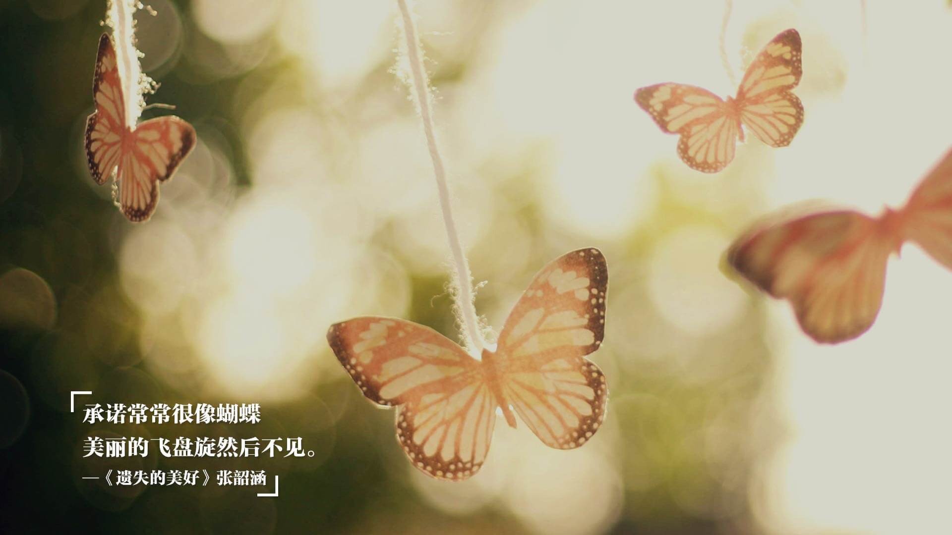 _空中极速飞盘：刺激你的飞行梦想_，空中极速飞车下载