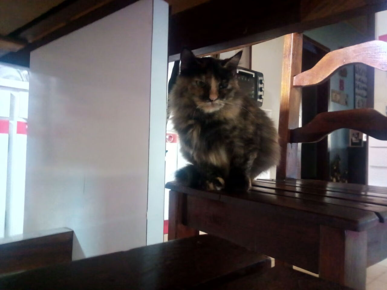 kaiyun app download-“青春链条”青少年篮球“明星导师”公益项目在广东启动，2020广东省青少年篮球联赛