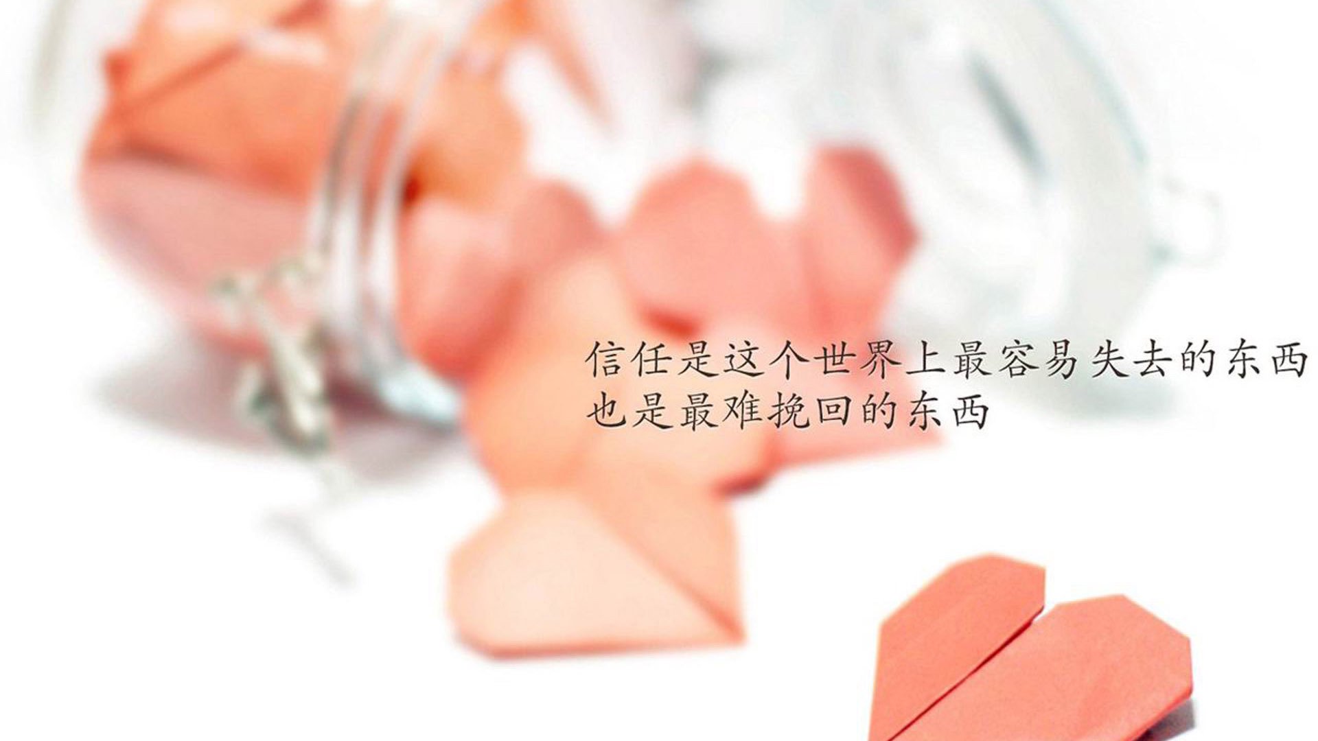 下载开云-《青年电竞明星：未来之星大放异彩》，电竞年轻人