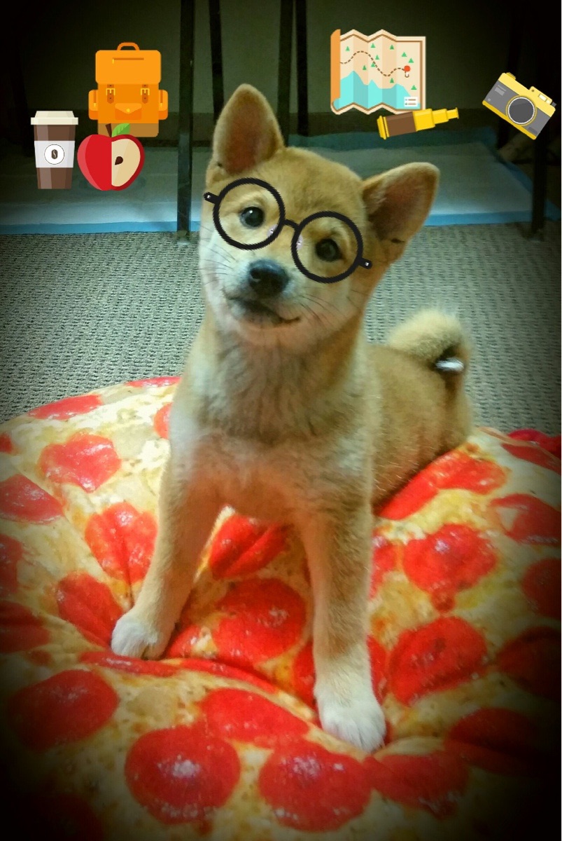 墨西哥队在巴黎奥运会比赛中展现出高效的快攻配合，墨西哥 巴西 奥运