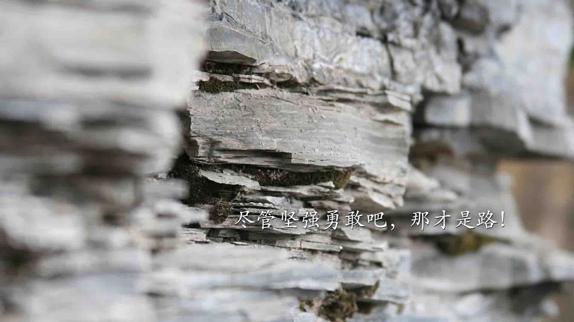 开云体育平台APP-改革创新推动青少年足球场地普及，乡村振兴新引擎，推进全国青少年校园足球改革建设研究