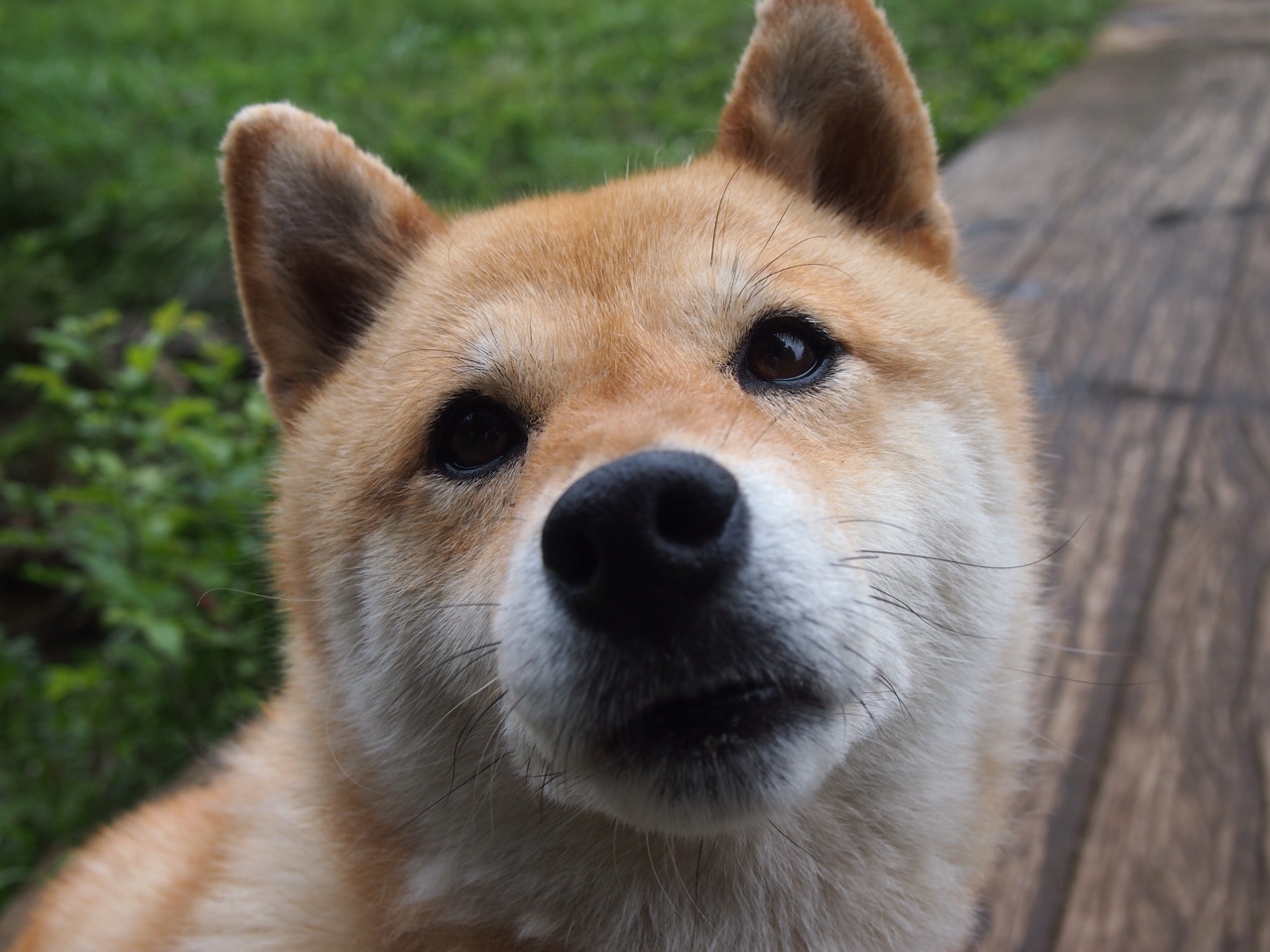 海底钟乳石潜水大赛，探秘自然的奇幻景观，海底有钟乳石吗