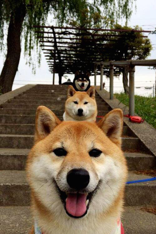 逆转冠军：战术变化带来的奇迹，逆转怎么样