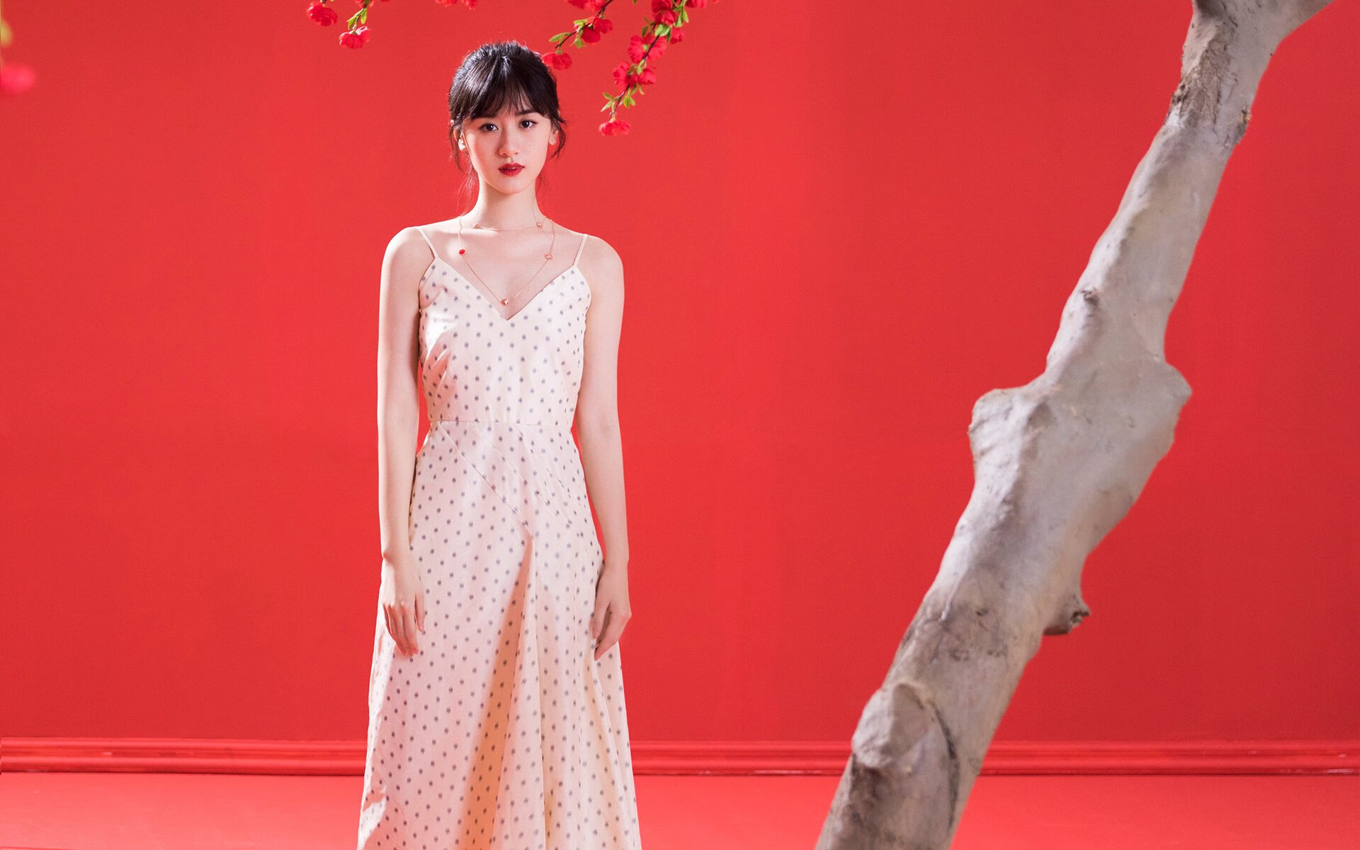 伯恩茅斯边路突破，樱桃军团期待留在英冠，伯恩茅斯对阵