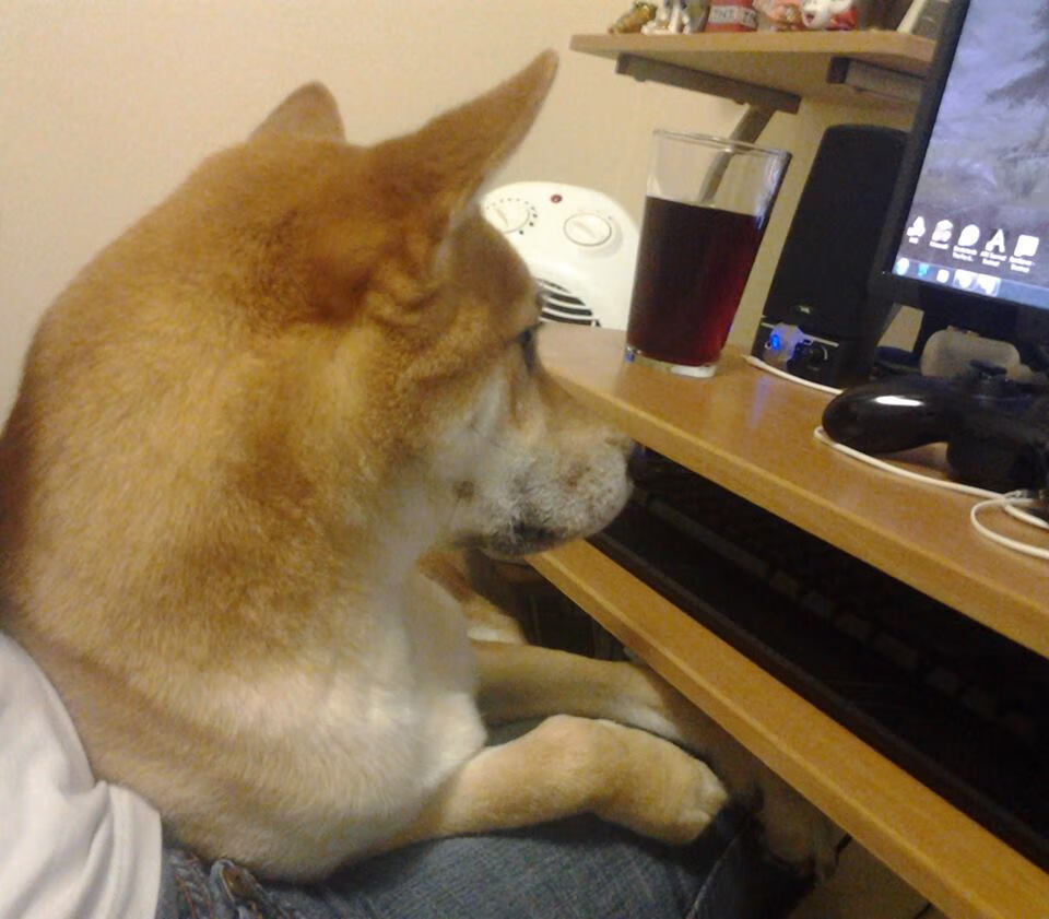 意外排球球员扣球意外受伤，排球受伤集锦