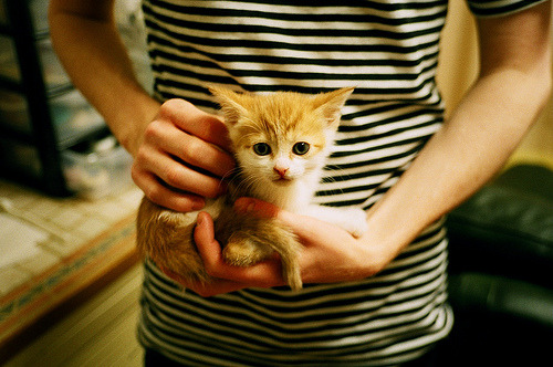 拜仁慕尼黑将士集结备战，展现决胜毅力，拜仁慕尼黑成员