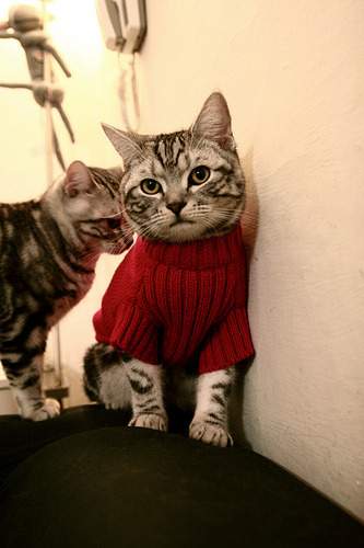 摩洛哥队在巴黎奥运会男足比赛中表现出色，赢得银牌，摩洛哥足球队主力