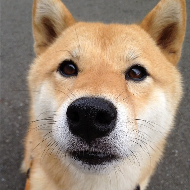 中国篮球职业联赛赛事直播技术创新应用，我看看中国篮球职业联赛