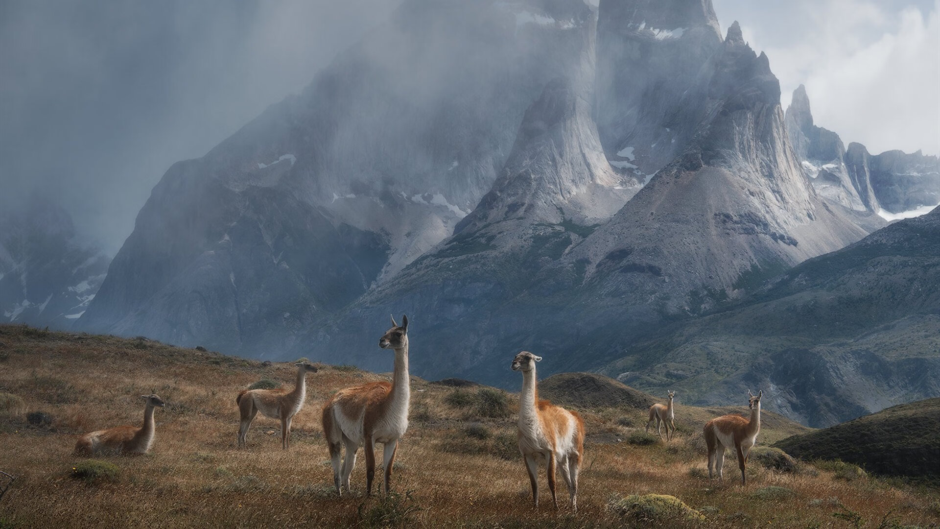 西甲俱乐部采用国内非传统渠道提升潮流形象，西甲所有俱乐部