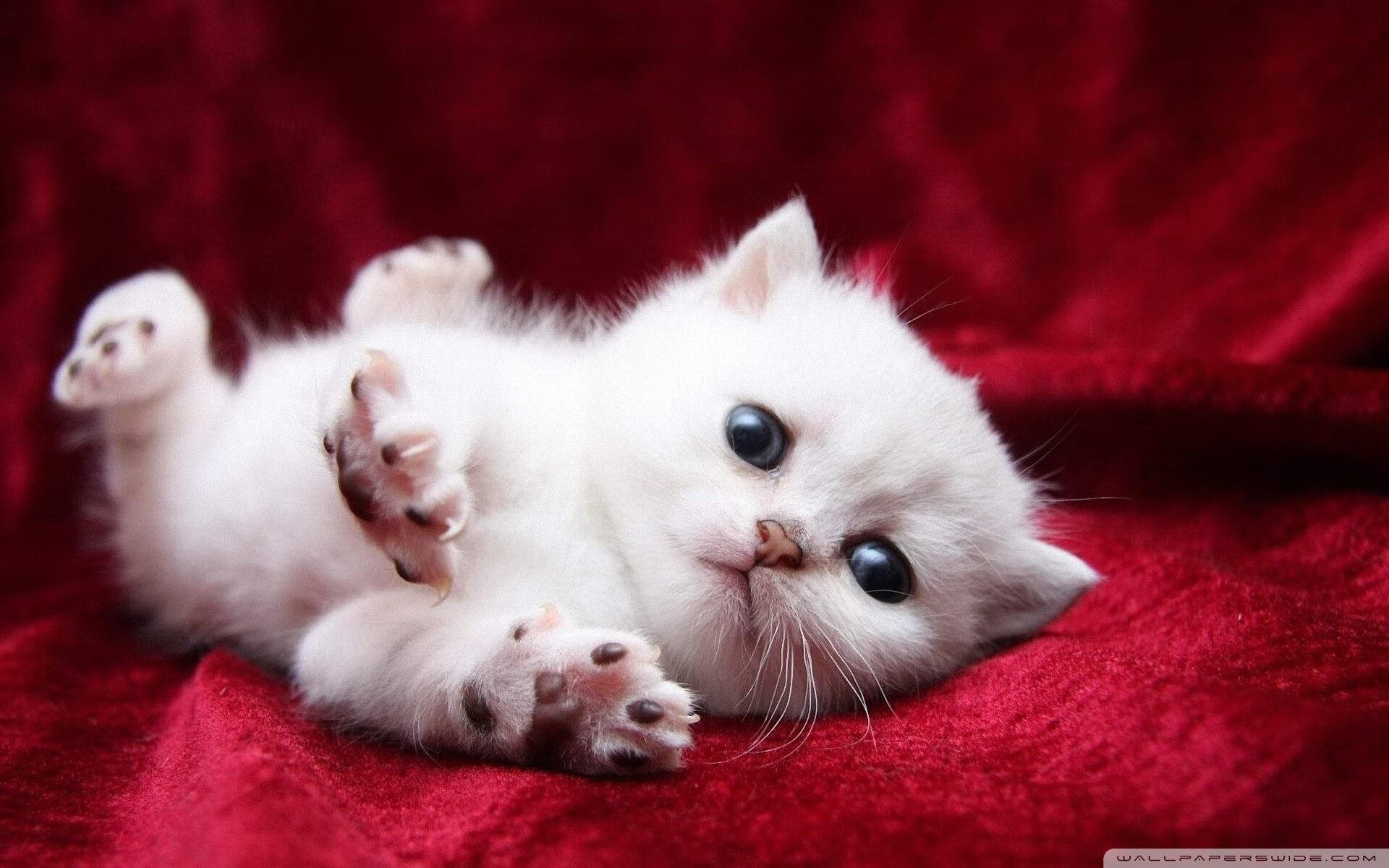 青少年体育社会环境影响因素分析，社会环境对体育的影响