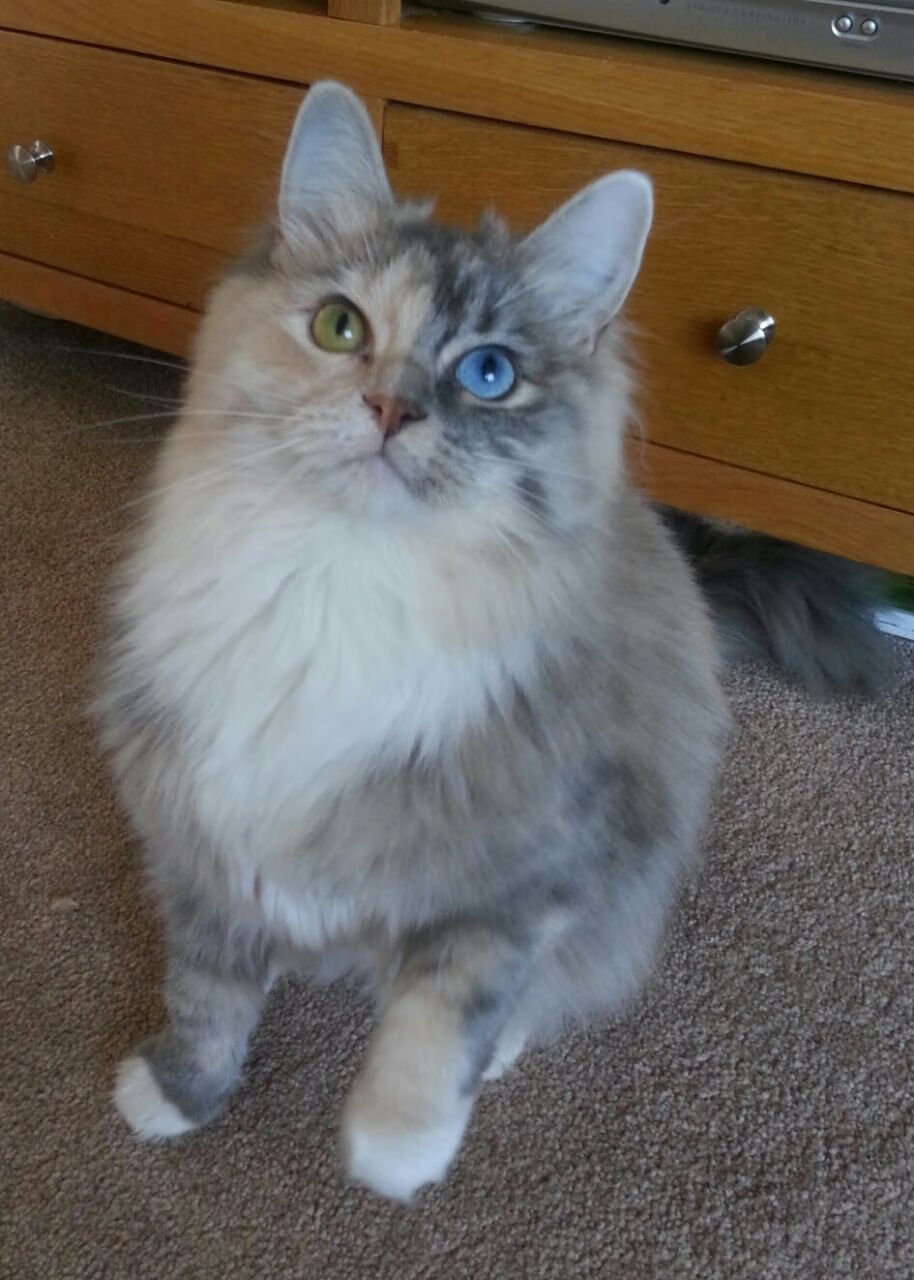 中国三人篮球男队快速提升个人技术,中国三人篮球国家队水平